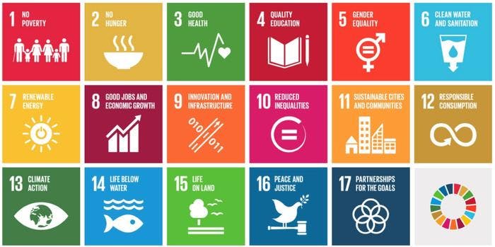 The UN sustainability development goals.