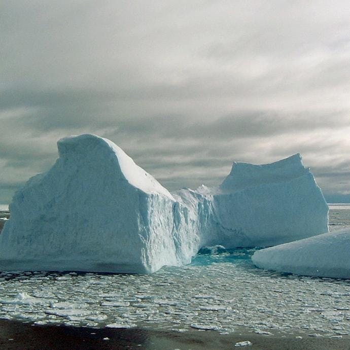 Icebergs. Photo: NASA