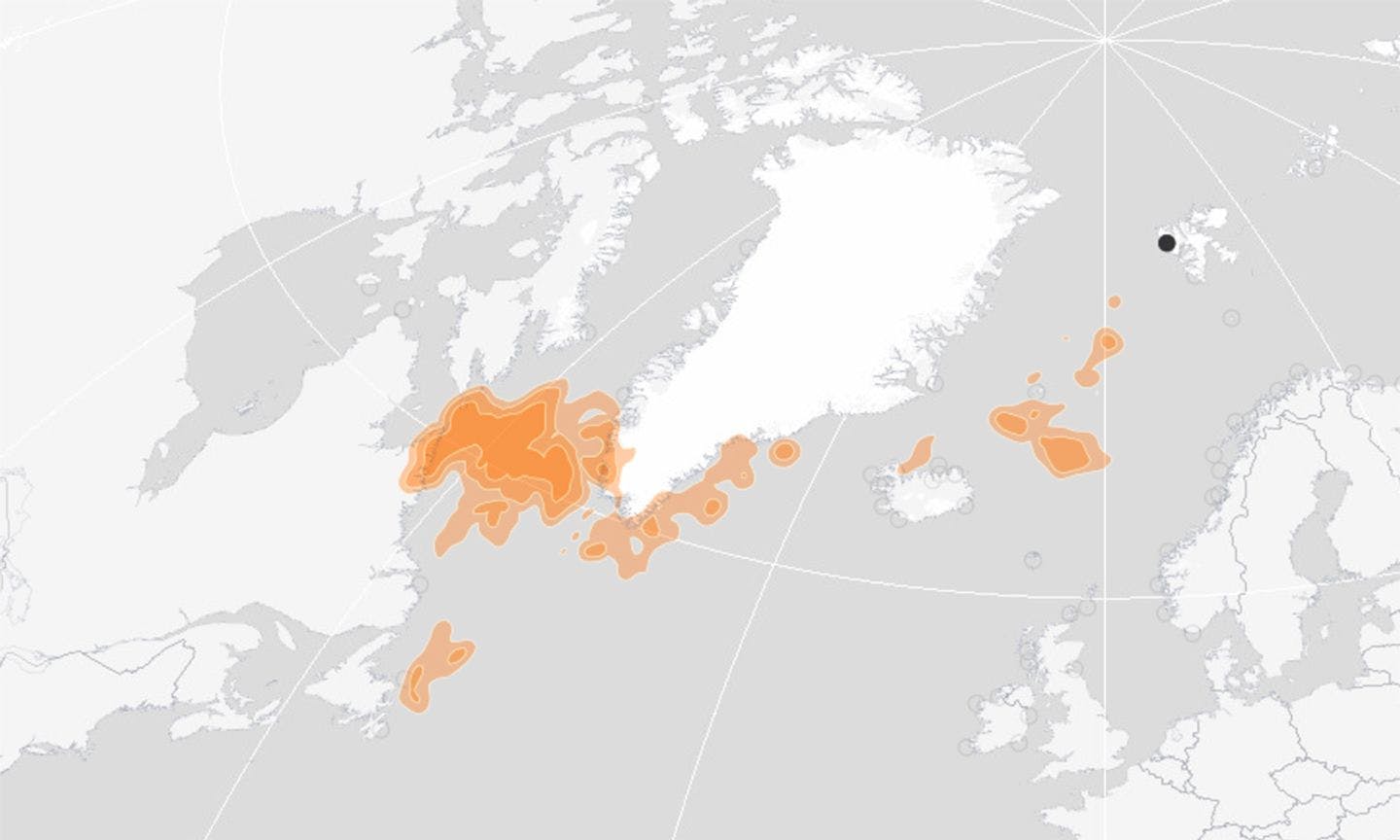 Little auks nesting in Kongsfjorden migrate to the orange areas during winter. Map: SEATRACK