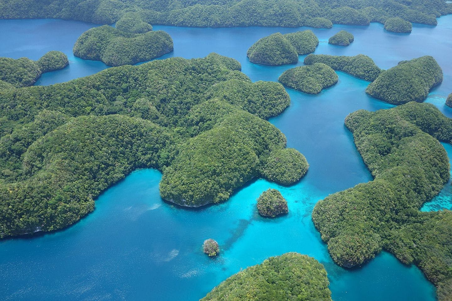 Koralløyene Ngerukewid står på UNESCOs World Heritage liste. Foto: Luka Peternel / Creative Commons