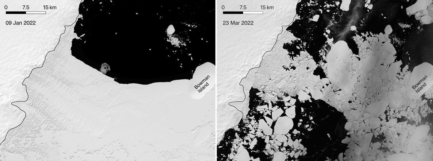 Conger-isbremmen, før og etter. Satellittfoto: Catherine Walker / WHOI
