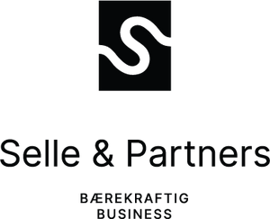 Logo Selle and partners