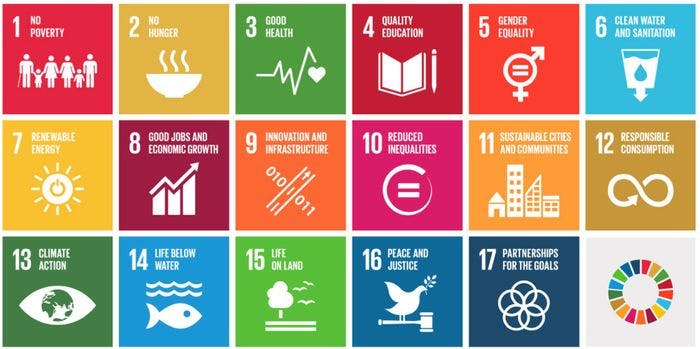 The UN sustainability development goals.