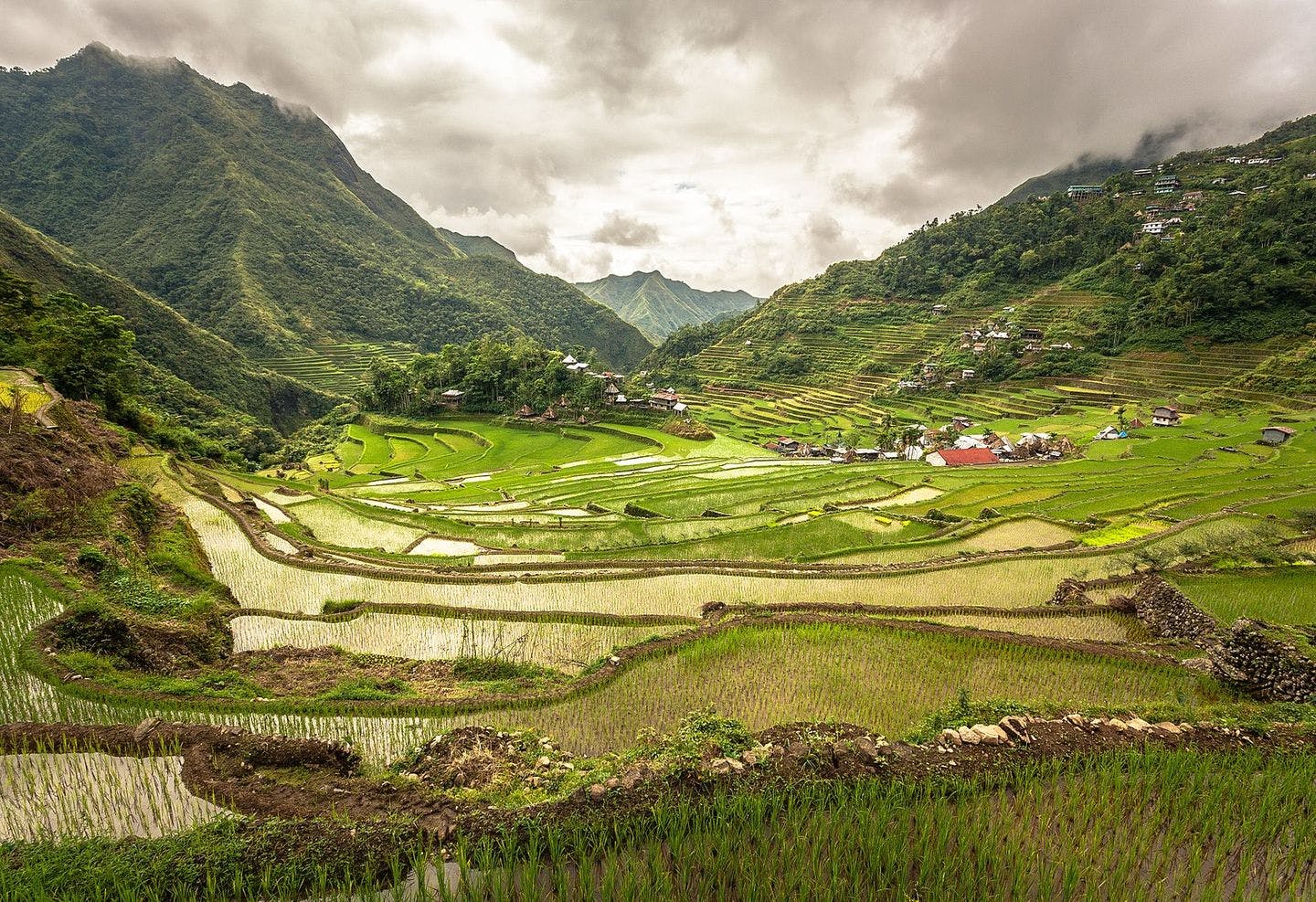 Rice terraces. Photo: Adi Simionov / Creative commons