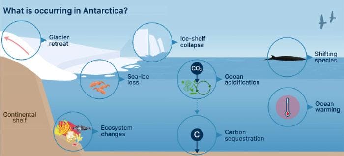 Klimaendringene gjør at både innlandsisen i Antarktis og ishyllene utover i havet endres raskt, noe som har konsekvenser for sjøisen og havområdene rundt. Illustrasjon: Fra The Joint Nansen Center - ESA  Advanced Ocean Synergy Training Course